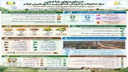 اینفوگرافی/ دستاوردهای مرکز تحقیقات و آموزش کشاورزی و منابع طبیعی استان ایلام
